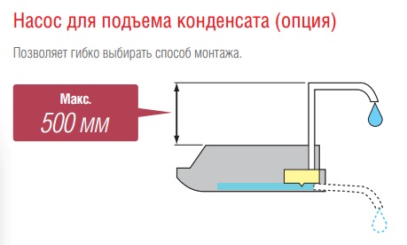 ����� ��� ������� ���������� (�����).jpg